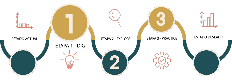 diagrama dig explore practice